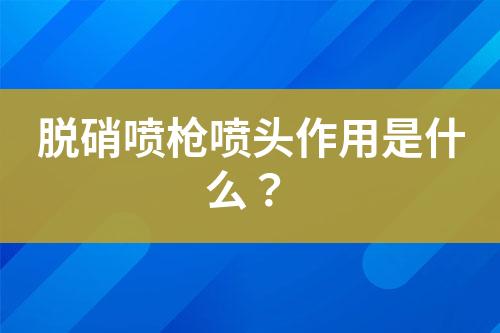 除塵脫硝噴槍如何選擇？